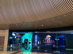 -春天国际影城(中庚漫游城杜比全景声店)