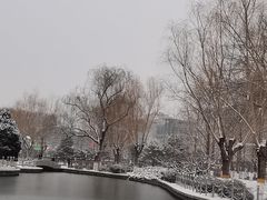 -康庄公园