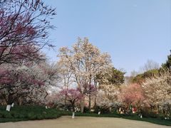 -杭州植物园