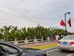-野狸岛