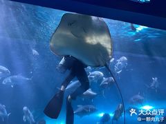 -邯郸海洋世界