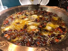 -雲蜀龙阁·金牌水煮鱼(方庄店)