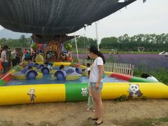 android_upload_pic-北京东方普罗旺斯薰衣草庄园