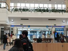 -上海市东方医院(总院)