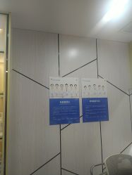 -碧莲盛·不剃发植发
