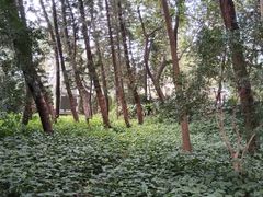 -烈士陵园(地铁站)