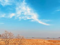 -上海吴淞炮台湾国家湿地公园