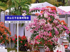 -莲花山公园