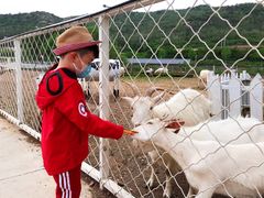-大连铭湖国际观光牧场