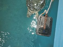 -广东惠东海龟国家级自然保护区