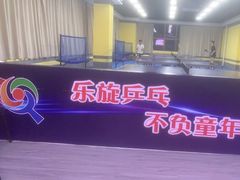 -乐旋乒乓球(广州西湾路店)