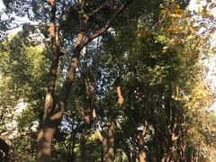 -上海图书馆·停车场