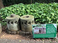 -海口火山口国家地质公园
