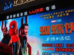 -红星电影世界上海张江绿地店