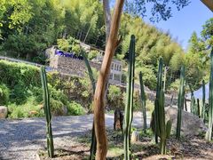 -MOJ coffee(瓯海泽雅水碓坑店)