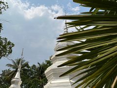 -西双版纳傣族园