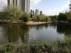 -长白岛森林公园