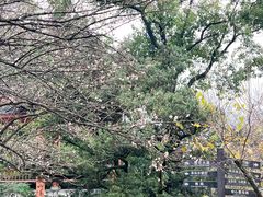 -南山植物园