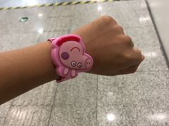 -王老六铁锅炖鱼(圣亚海洋店)