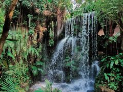 -华南国家植物园-售票处