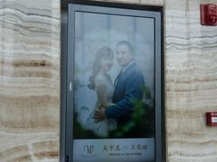 -长春净月潭喜来登酒店·盛宴标帜餐厅