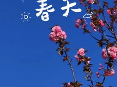 -北京金海湖景区