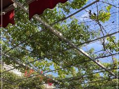 -伊隆斋(什刹海店)