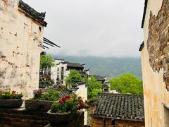 -婺源风景区