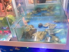 水产区-喝丢一只鞋海鲜烧烤·海肠捞饭(市场店)