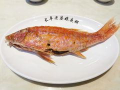 红鱼-长平老姿娘夜粥(平东一街店)