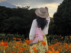 -长广溪湿地公园