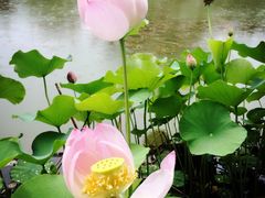 -徐州中汇国际会议中心