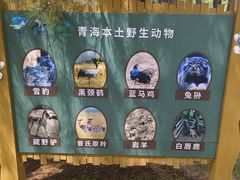 -青藏高原野生动物园