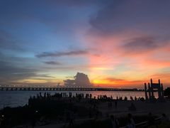 -宝安西湾红树林湿地公园