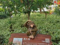 -呀路古热带植物园