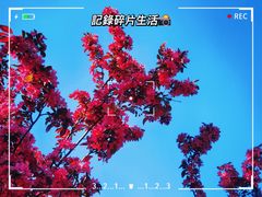 -南通洲际绿博园