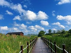 -盐城丹顶鹤湿地生态旅游区