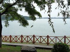 -丁香湖公园