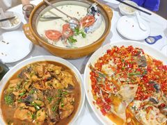 -全乐鱼馆·淳牌有机鱼直营店