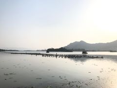 -茗醉园茶楼