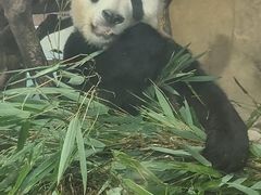 -成都动物园