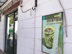 -油梨树AVOCADO TREE(顺义新国展店)