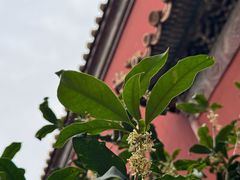 -北京市劳动人民文化宫(太庙)
