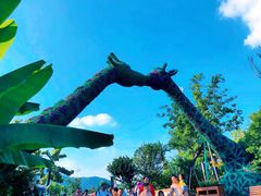 -苏州乐园森林水世界