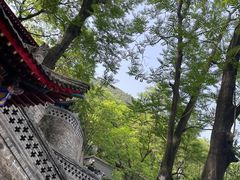 -华清宫景区