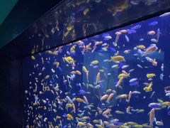 -成都浩海立方海洋公园