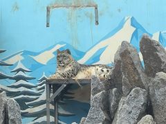 -青藏高原野生动物园
