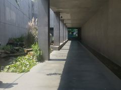 -中国湿地博物馆