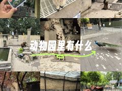 -保定市动物园
