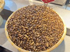 -老凯俚酸汤鱼(多彩城店)